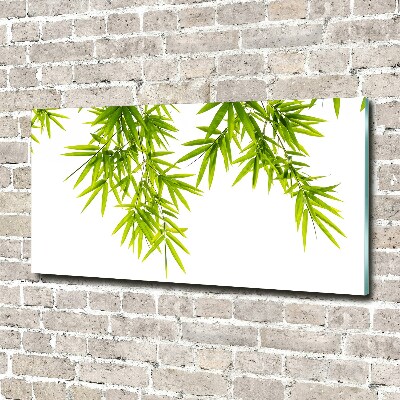 Print on acrylic Bamboo leaves