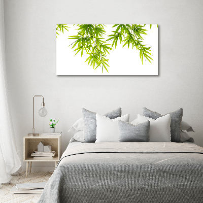 Print on acrylic Bamboo leaves