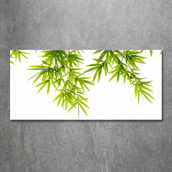 Print on acrylic Bamboo leaves