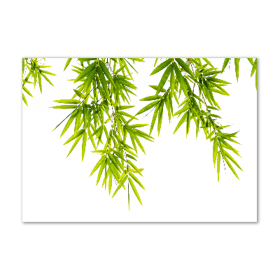 Print on acrylic Bamboo leaves