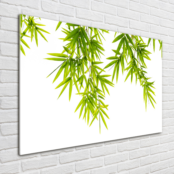 Print on acrylic Bamboo leaves