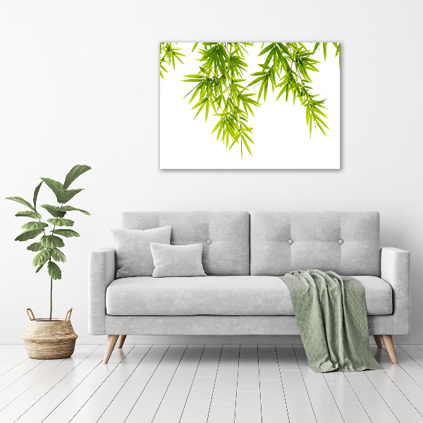 Print on acrylic Bamboo leaves