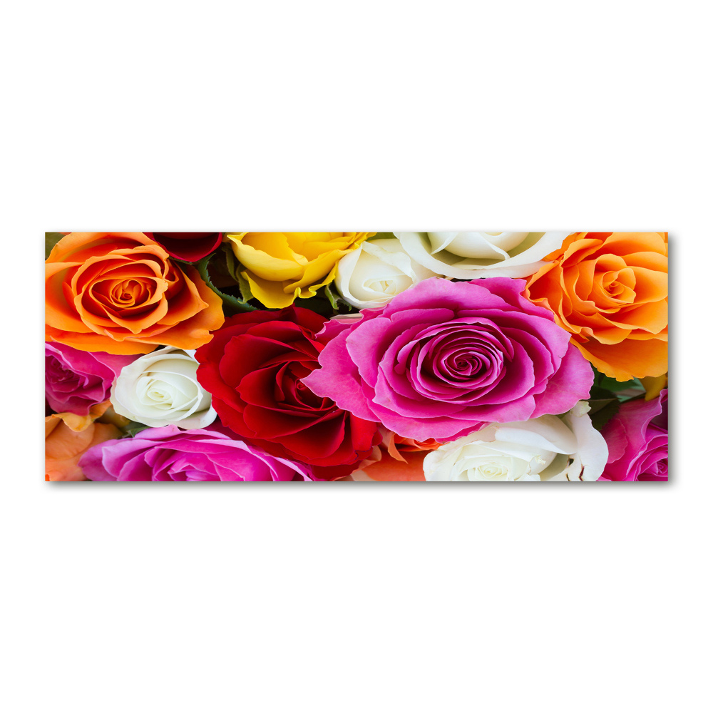 Wall art acrylic Colorful roses