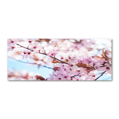 Acrylic wall art Cherry blossoms