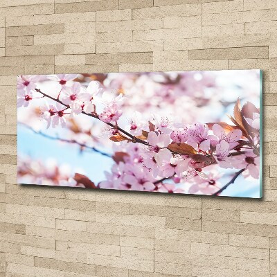 Acrylic wall art Cherry blossoms