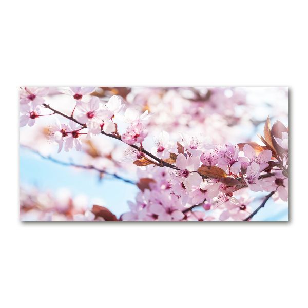 Acrylic wall art Cherry blossoms