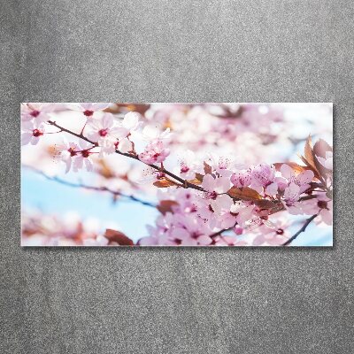 Acrylic wall art Cherry blossoms