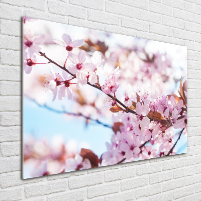 Acrylic wall art Cherry blossoms