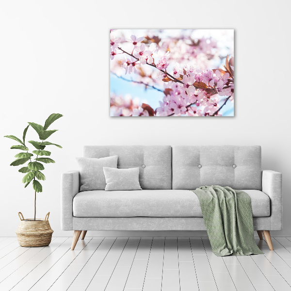 Acrylic wall art Cherry blossoms