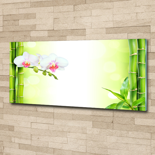 Acrylic wall art Orchid and bamboo