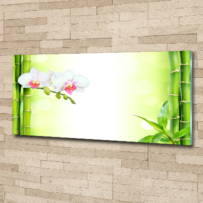 Acrylic wall art Orchid and bamboo