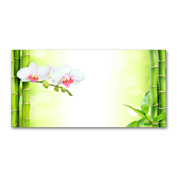 Acrylic wall art Orchid and bamboo