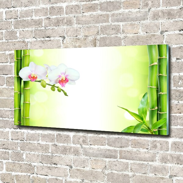 Acrylic wall art Orchid and bamboo