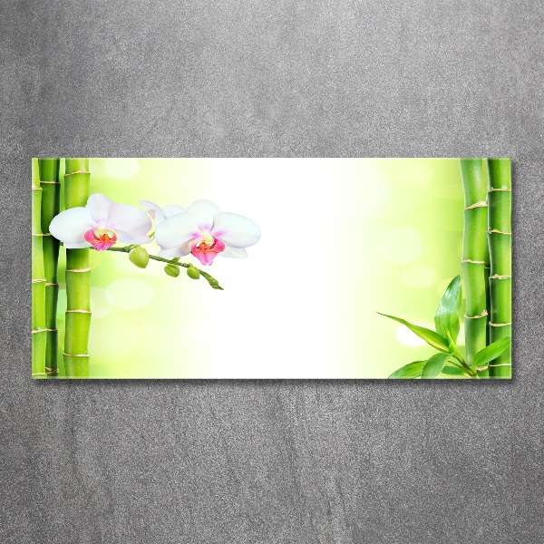 Acrylic wall art Orchid and bamboo