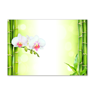 Acrylic wall art Orchid and bamboo