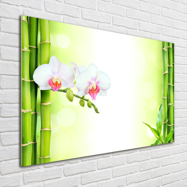 Acrylic wall art Orchid and bamboo