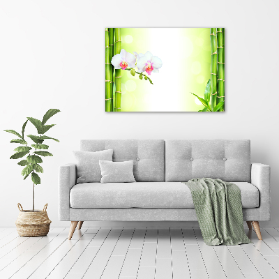 Acrylic wall art Orchid and bamboo