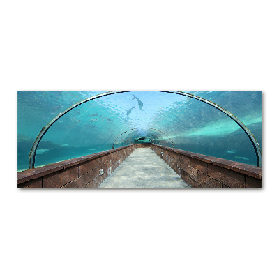 Print on acrylic Aquarium tunnel