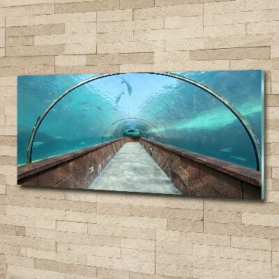 Print on acrylic Aquarium tunnel