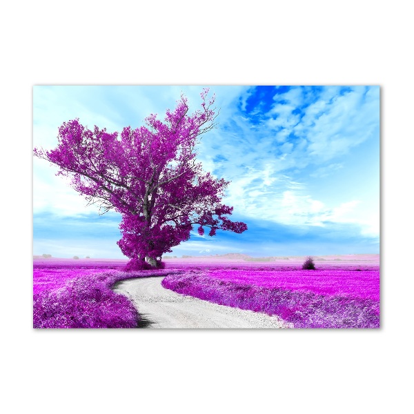 Acrylic print Tree and path