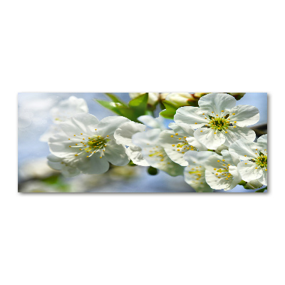 Wall art acrylic Cherry Blossom