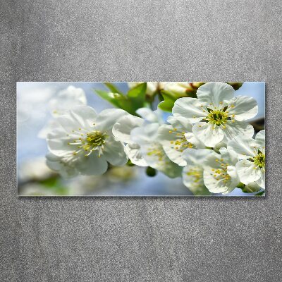 Wall art acrylic Cherry Blossom