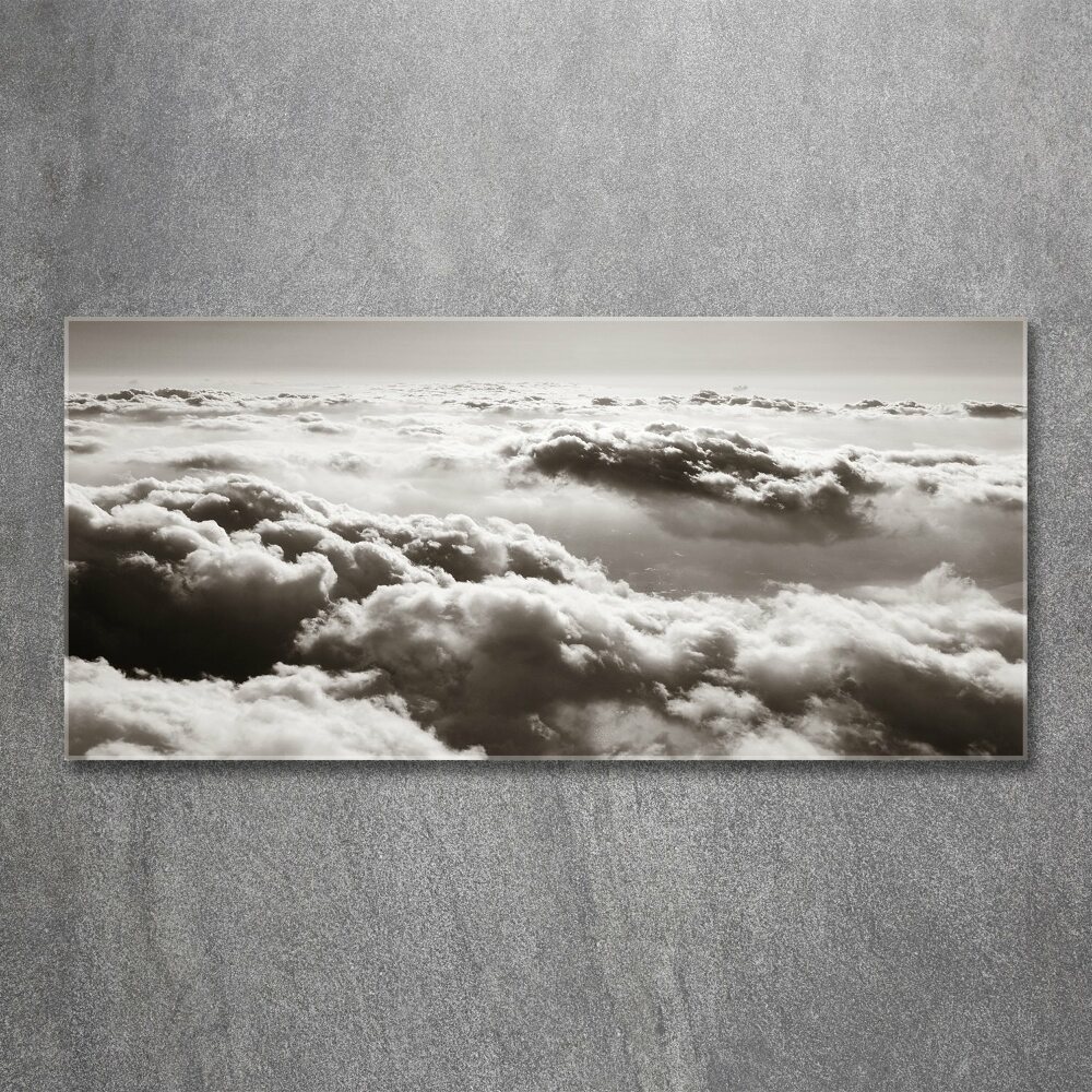 Acrylic wall art Bird's flight clouds