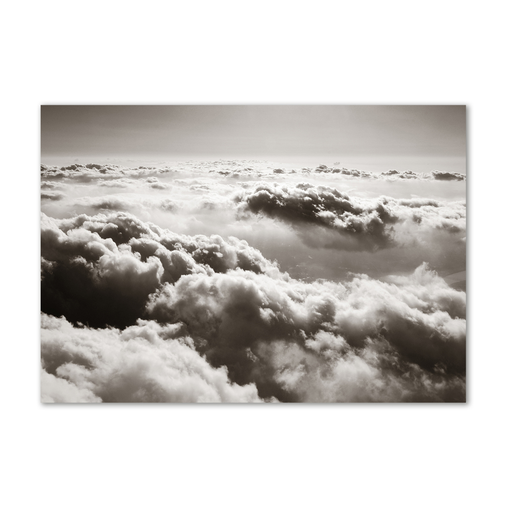 Acrylic wall art Bird's flight clouds