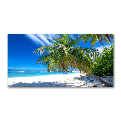 Acrylic wall art Tropical beach