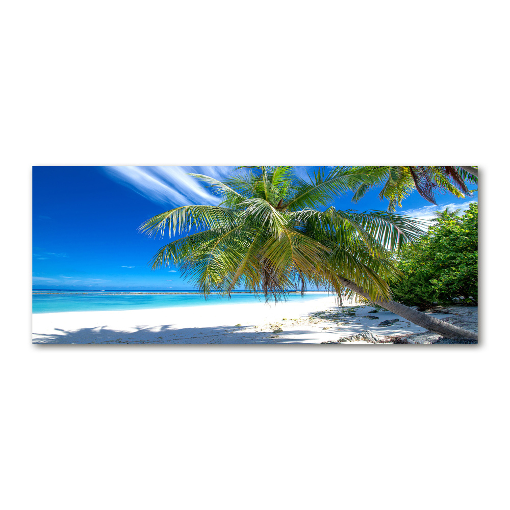 Acrylic wall art Tropical beach