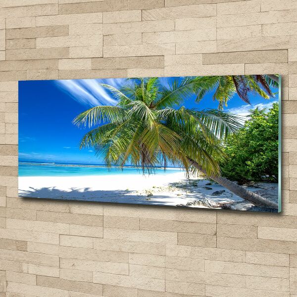 Acrylic wall art Tropical beach