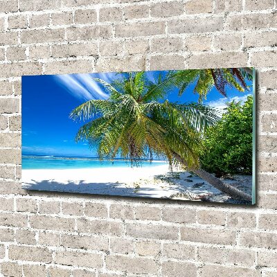 Acrylic wall art Tropical beach