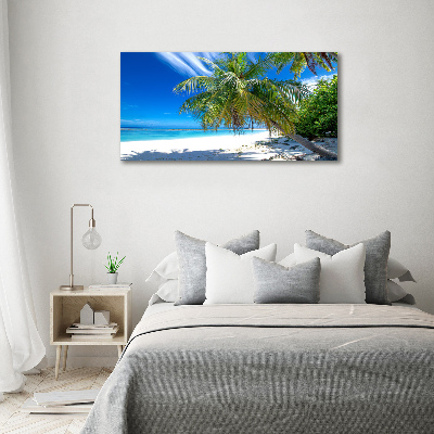 Acrylic wall art Tropical beach