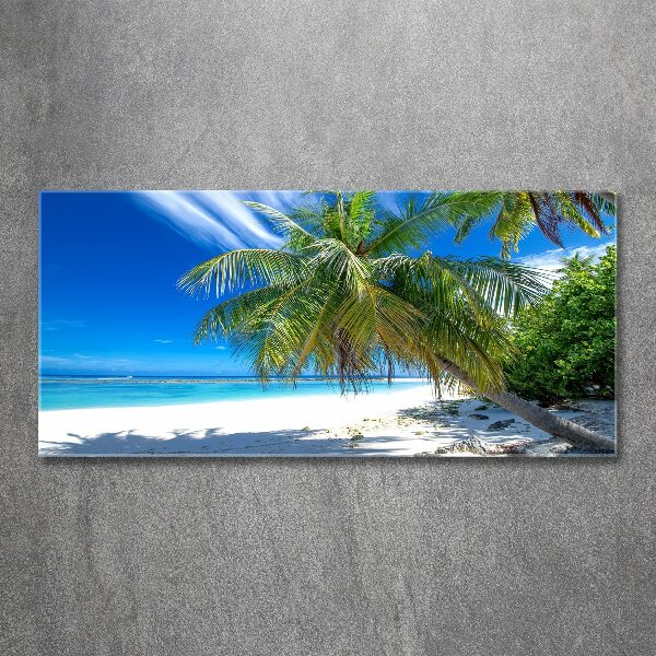 Acrylic wall art Tropical beach