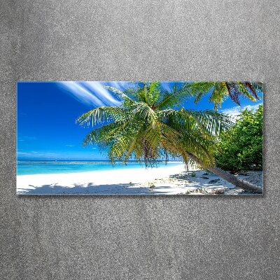 Acrylic wall art Tropical beach