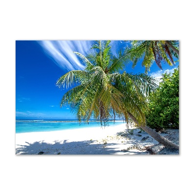 Acrylic wall art Tropical beach