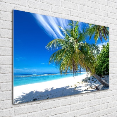 Acrylic wall art Tropical beach