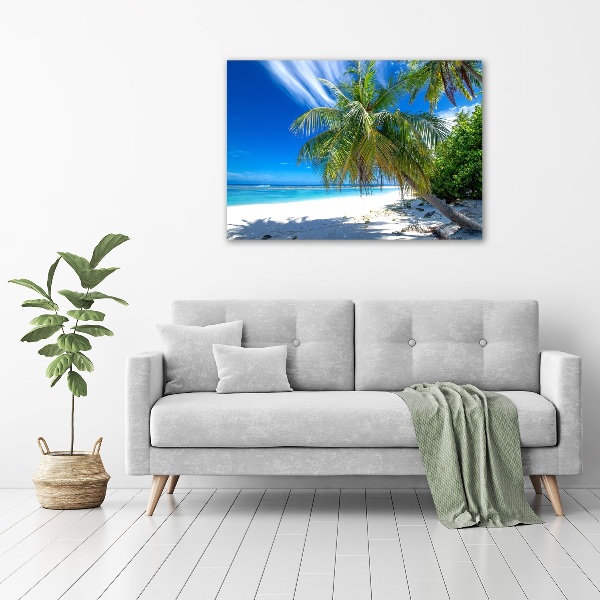 Acrylic wall art Tropical beach