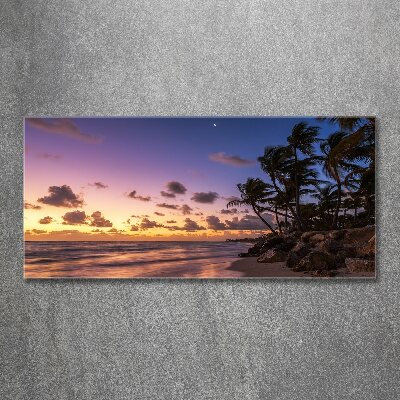 Acrylic wall art West on the beach