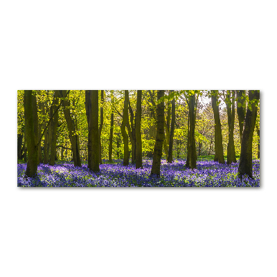 Acrylic print Forest