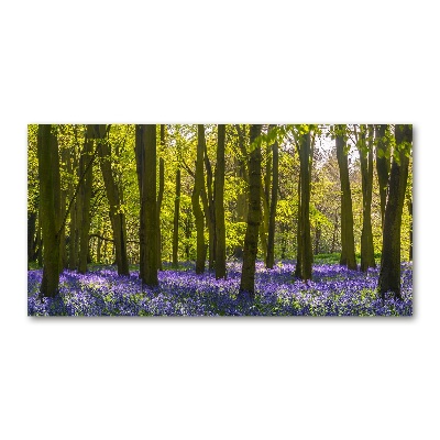 Acrylic print Forest