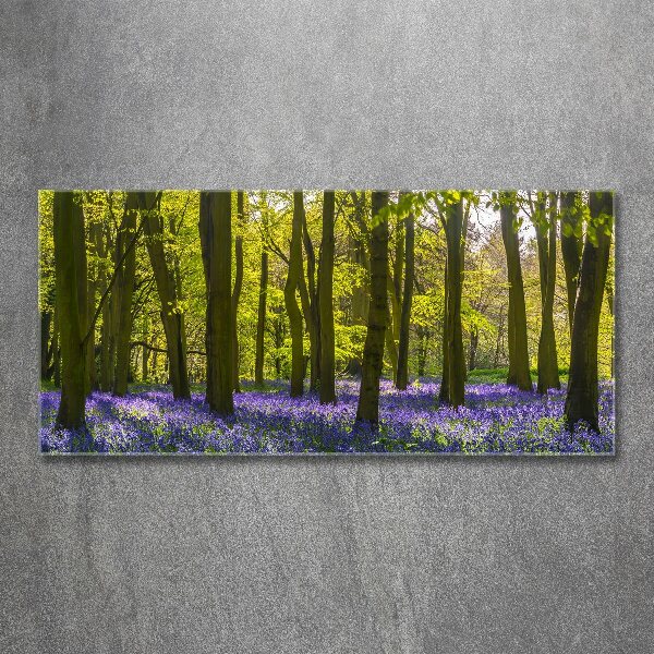 Acrylic print Forest