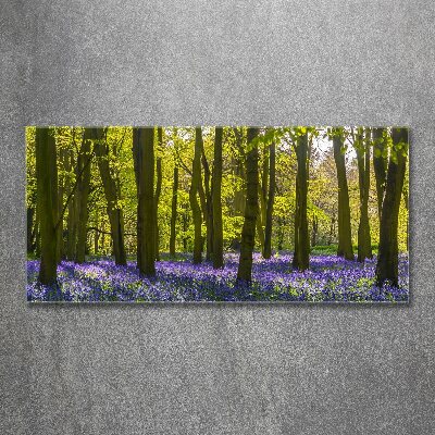 Acrylic print Forest