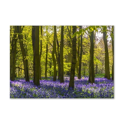 Acrylic print Forest