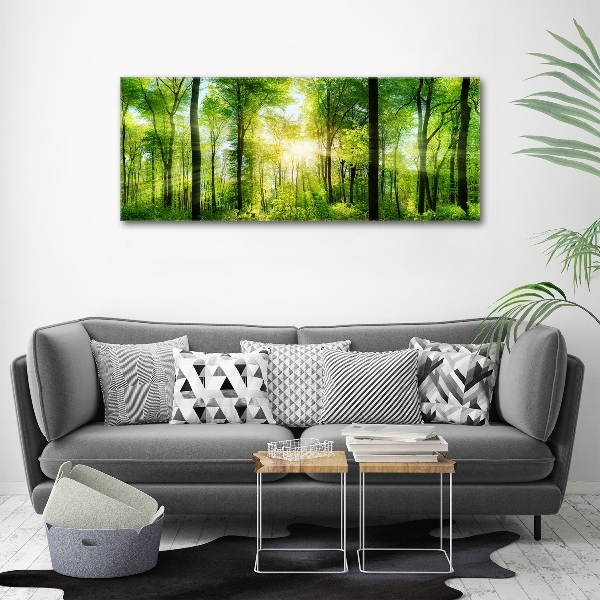 Acrylic print Forest in the sun