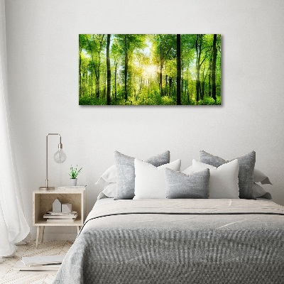 Acrylic print Forest in the sun