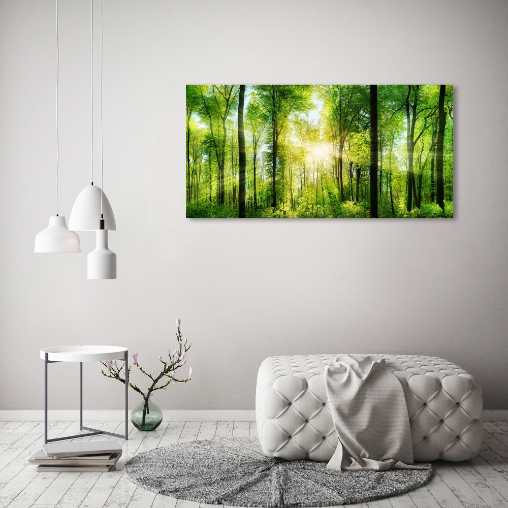 Acrylic print Forest in the sun