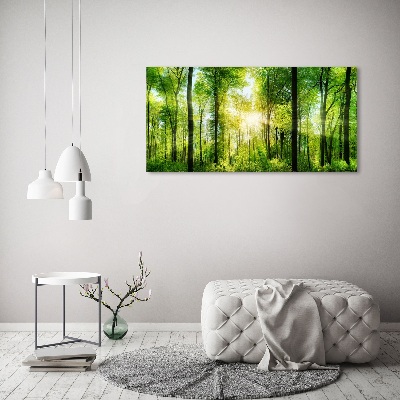 Acrylic print Forest in the sun