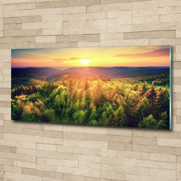 Acrylic wall art West forest