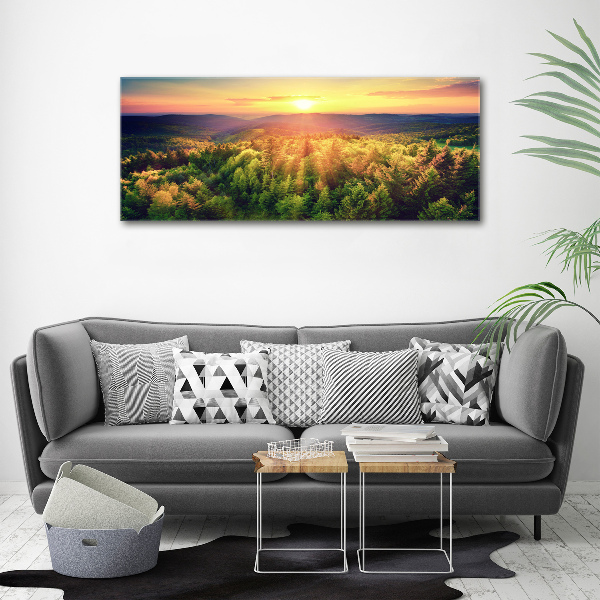 Acrylic wall art West forest